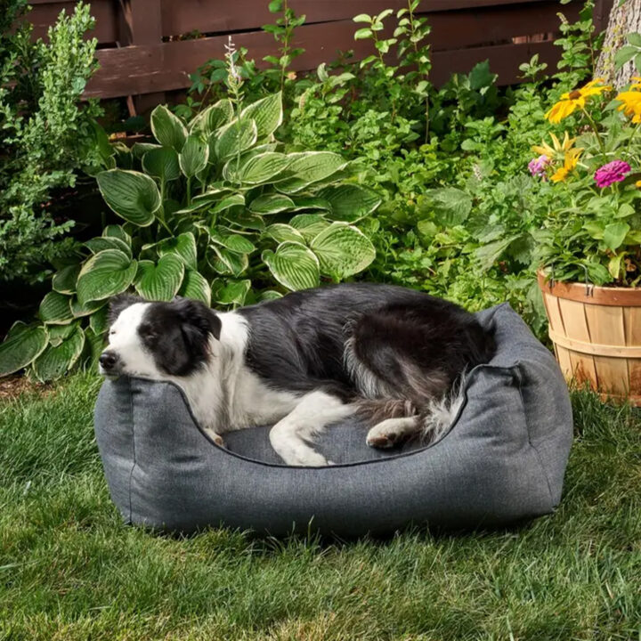 Personalized Cuddler Dog and Cat Pet Bed - Image 2