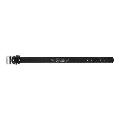 Personalized Pet Collar
