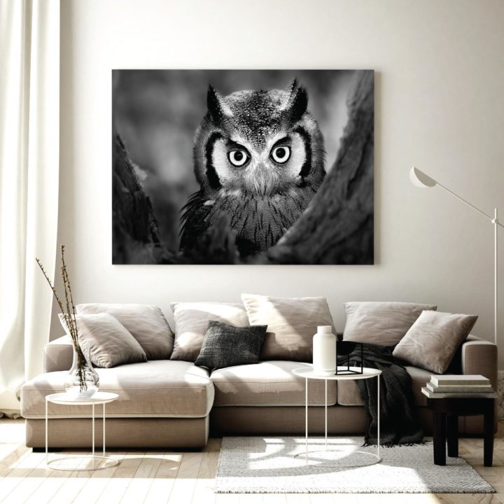 Black & White Owl - Image 2