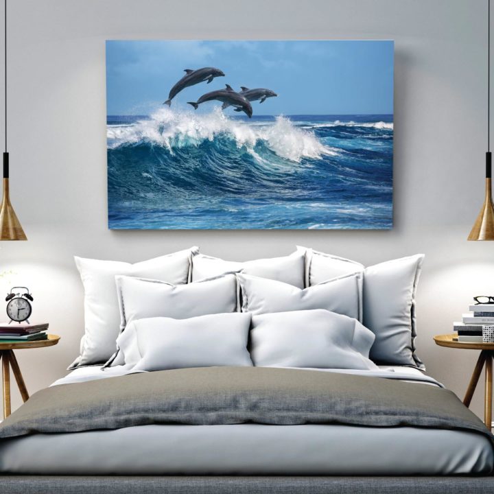 Dolphins in Surf - Image 2