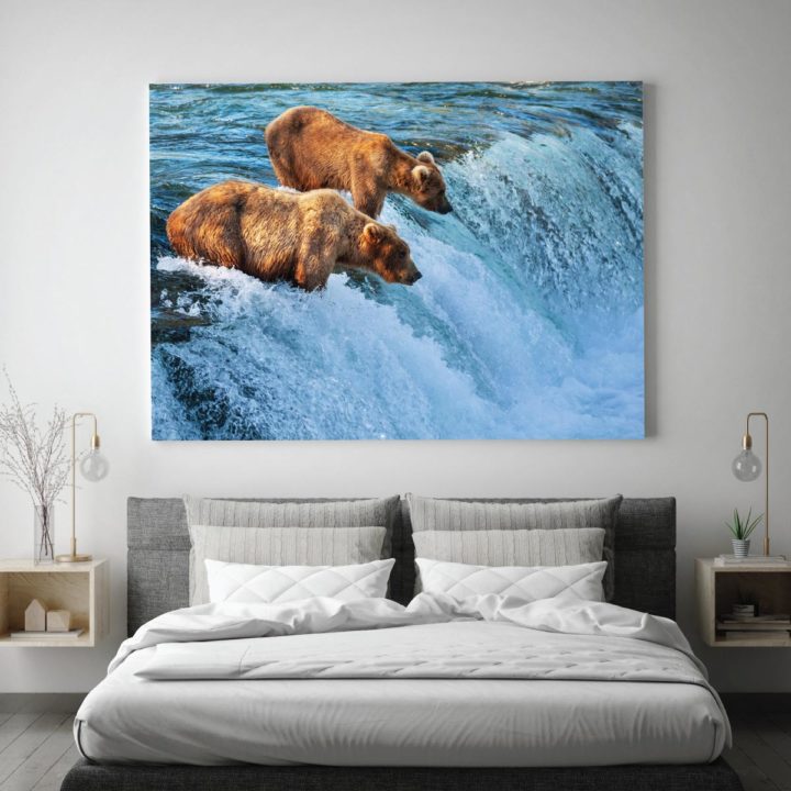 Grizzly Bears Fishing - Image 2