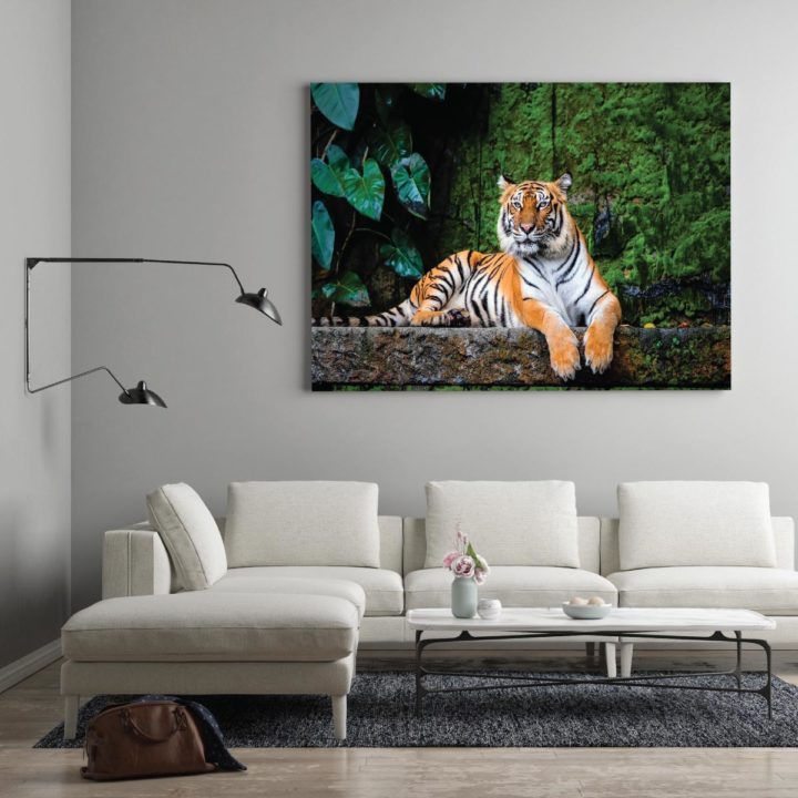 Bengal Tiger - Image 2