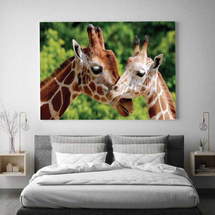 Embracing Giraffes - Image 2