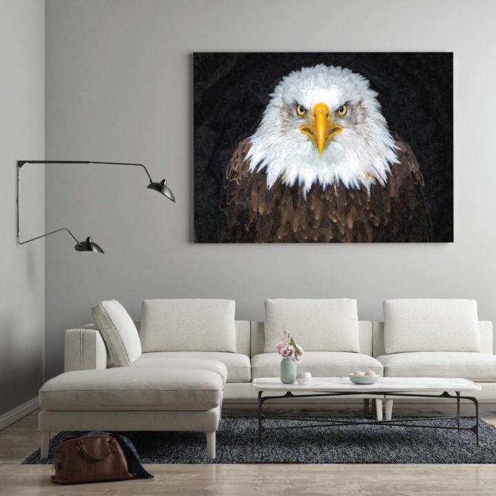 American Bald Eagle - Image 2
