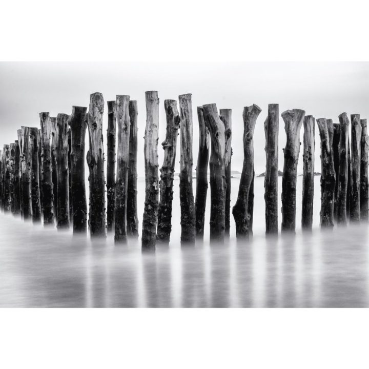 Wood and Water Black & White Acrylic Print