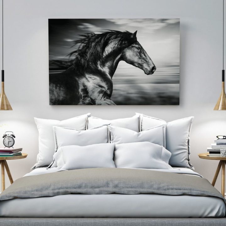 Wild Horse Black & White Acrylic Print - Image 2