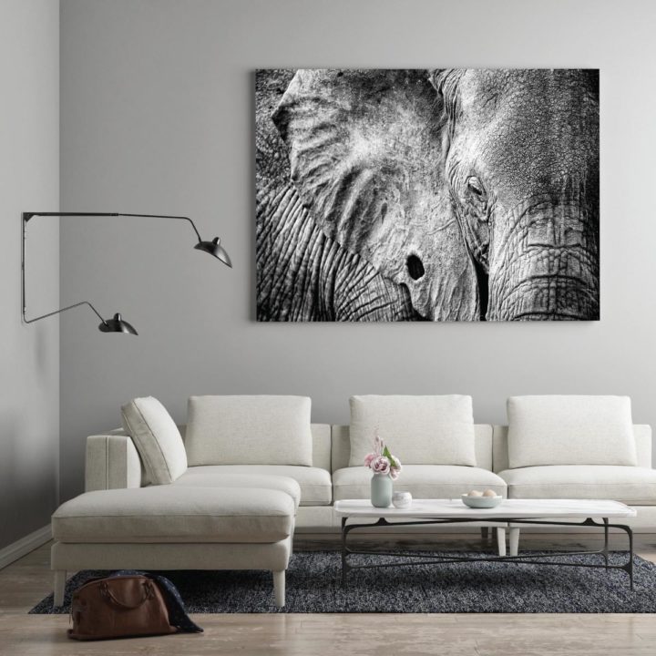 Black and White Elephant - Image 2