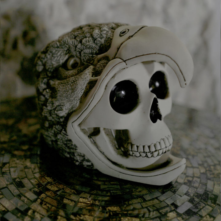 Mayan Eagle Warrior Skull - Image 6