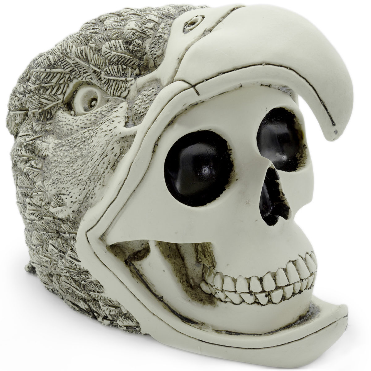 Mayan warrior skull in dragon helmet. Stay fierce! - Leif